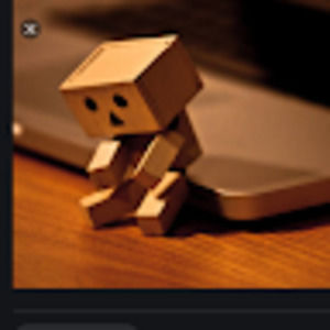 Meet your Posher, Lily